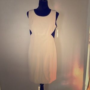 Shelby & Palmer Dress